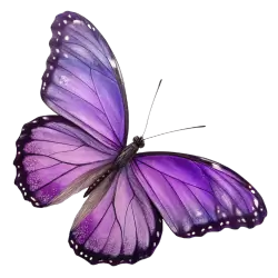 Imagen PNG para descargar